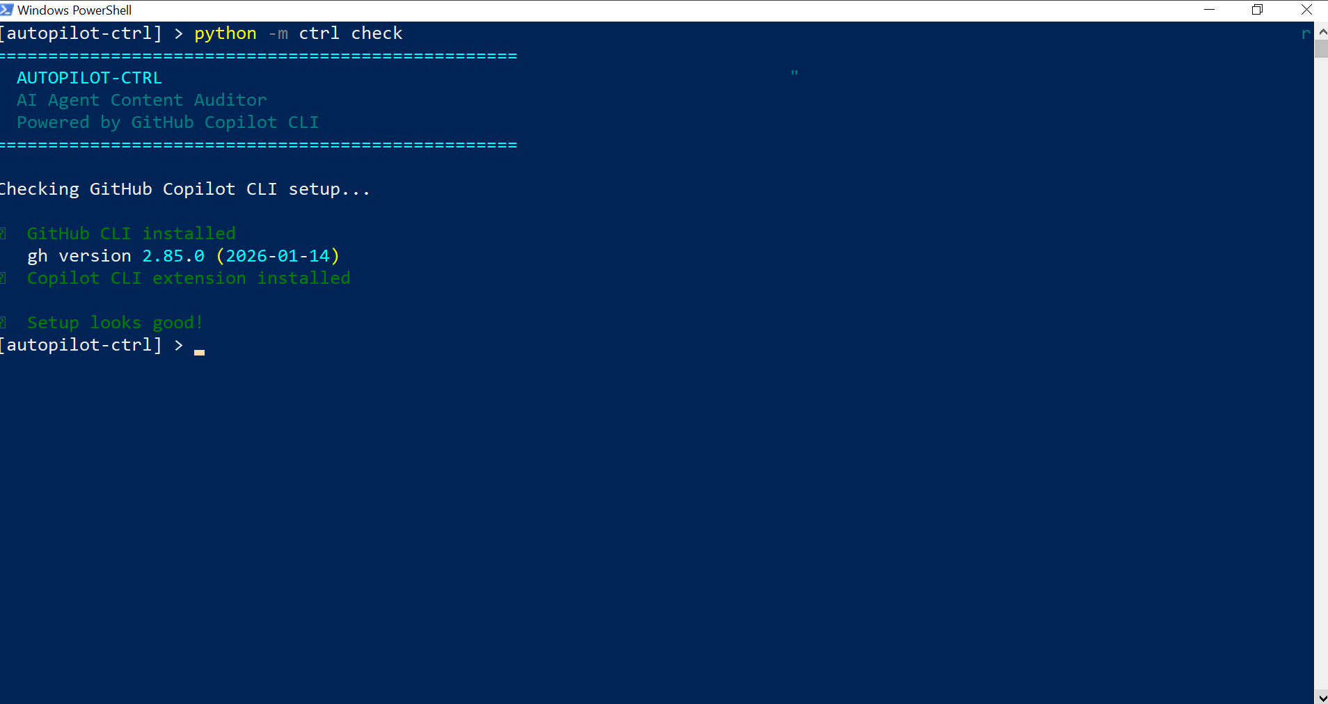2. Copilot CLI Verification